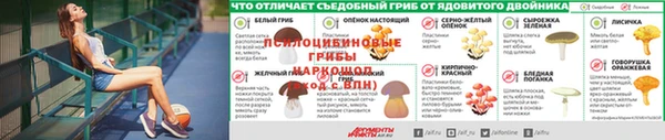 дживик Балахна